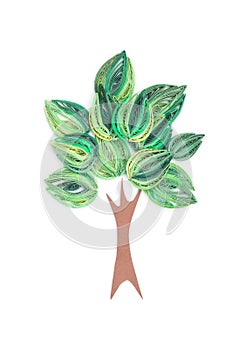 Tree made in quilling art