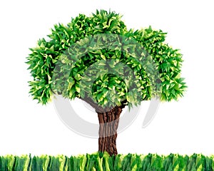 Tree Made With Recycled Paper Isolated On White Background