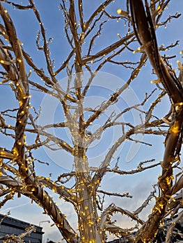 A tree made of string lights forms a decoration at a