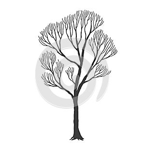 Tree, many branches, halloween design vector drawing