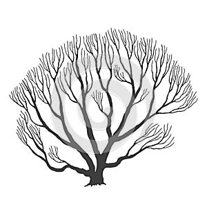 Tree, many branches, halloween design vector drawing