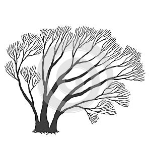 Tree, many branches, halloween design vector drawing