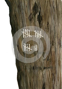 Tree with mark the days. Wood texture with countdown. Watercolor hand drawing artistic realistic illustration for design