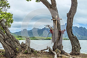 Tree Memorial