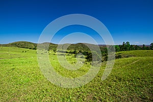 Tree in the middle of the mountains
