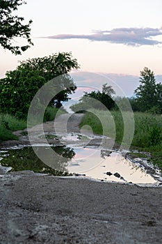 Tree mirrored in the puddle mirror ont he meadow in nature.