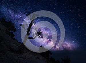 Tree on the mountain against Milky Way. Night landscape