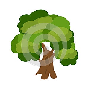 Tree nature green vector.