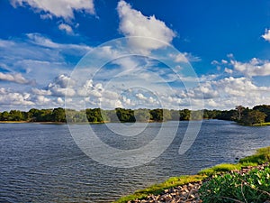 Tree near river, scenic nature landscape.