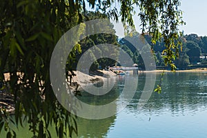 Un árbol próximo sobre el detalles de Agua hechos cómo Espejo 