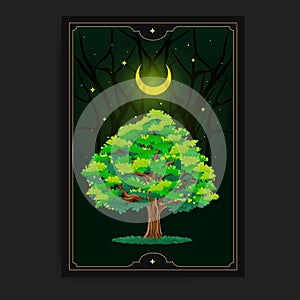 Tree in night and dark forest