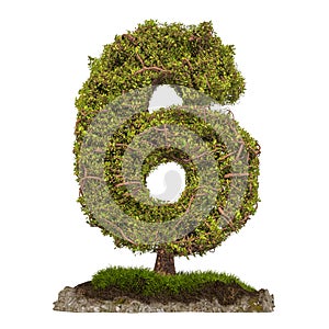 Tree Number 6. Tree in shaped of number 6, 3D rendering