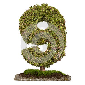 Tree Number 9. Tree in shaped of number 9, 3D rendering