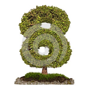 Tree Number 8. Tree in shaped of number 8, 3D rendering