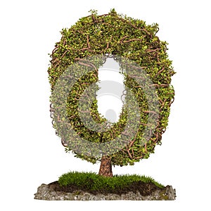 Tree Number 0. Tree in shaped of number 0, 3D rendering