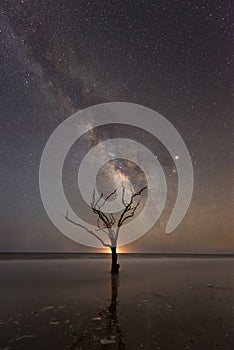 Tree in the ocean under the Milky Way Galaxy