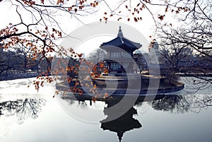 The tree and old tower in winter