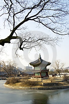 The tree and old tower in winter