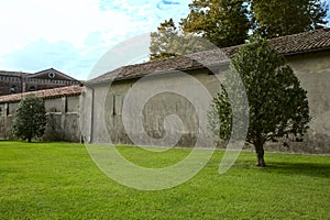 A tree in an opem space with a grey wall as background on a clear day in autumn
