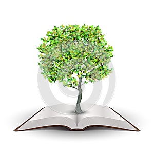 Tree on open book design vector illustration