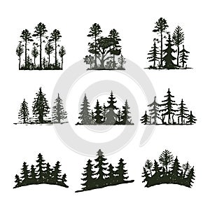 Tree outdoor travel black silhouette coniferous natural badge, tops pine spruce branch cedar and plant leaf abstract