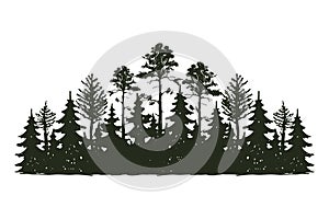 Tree outdoor travel black silhouette coniferous natural badge, tops pine spruce branch cedar and plant leaf abstract