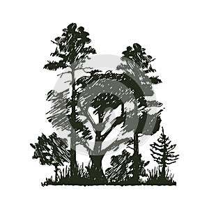 Tree outdoor travel black silhouette coniferous natural badge, tops pine spruce branch cedar and plant leaf abstract