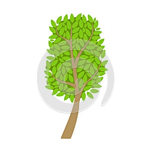 Tree with an oval crown and green leaves, element of a landscape. Colorful cartoon vector Illustration