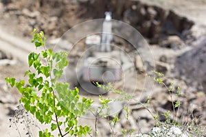 Tree over basalt quarry with excavator