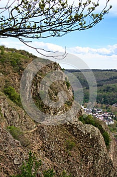 Tree over a cliff above Bad Munster