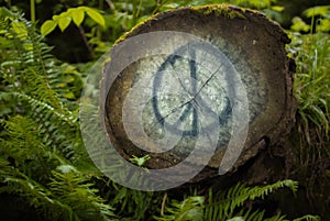 Tree with Painted Peace Sign