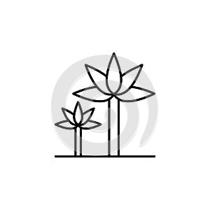 Tree, palm icon. Simple thin line, outline vector of trees icons for ui and ux, website or mobile application