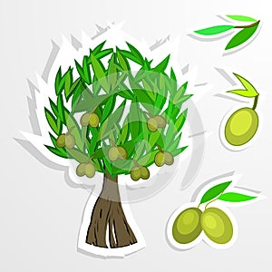 Tree on paper. Olive oil. Vector olive tree