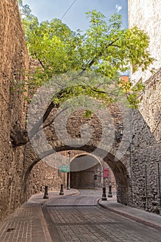 A tree and passageway in Guanajuato, Mexico