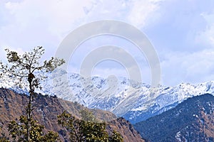 A Tree and Peaks of Shivalik Range of Mountains - Himalayan Landscape - Travel to Uttarakhand, India