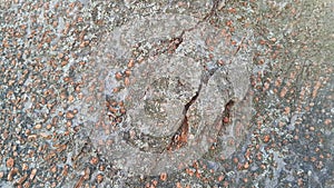 tree peel macro close up texture for background and texture