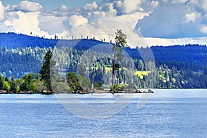 Tree Peninsula Lake Coeur d` Alene Idaho photo