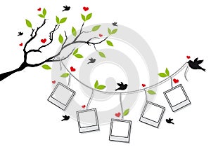 Tree with photo frames and birds, vector