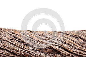 Tree piece isolated on a white background