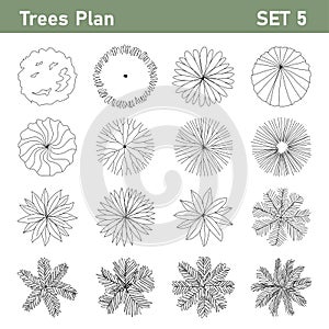 Tree plan top view for landscape set 1