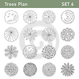 Tree plan top view for landscape set 1