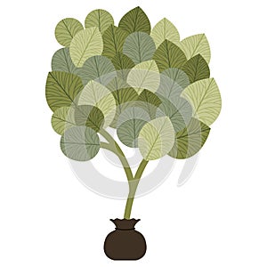 Tree plant cultivate isolated icon