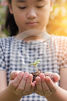 Tree planting growing on soil in girl child`s hand for saving world environment, tree care day, environmental protection