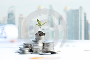 The tree plants growing on money coin stack for investment,  business newspaper with financial report on desk of investor real est