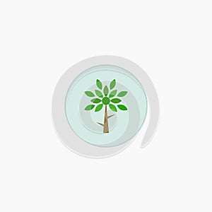 Tree. Plants. Icon. Vector illustration. EPS 10