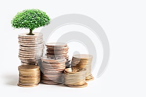 Tree plumule leaf on save money stack coins, Business finance saving banking investment concept photo