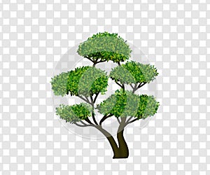 Tree Png Transparent Background small size aditional object