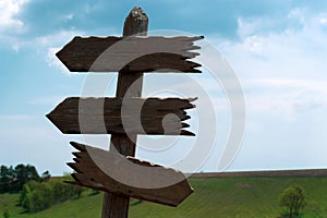 A tree pointer against the sky