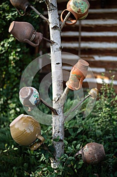 the tree with pot in Maramures, traditional