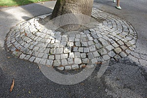 Tree protection in modern society